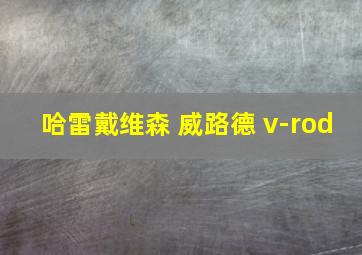 哈雷戴维森 威路德 v-rod